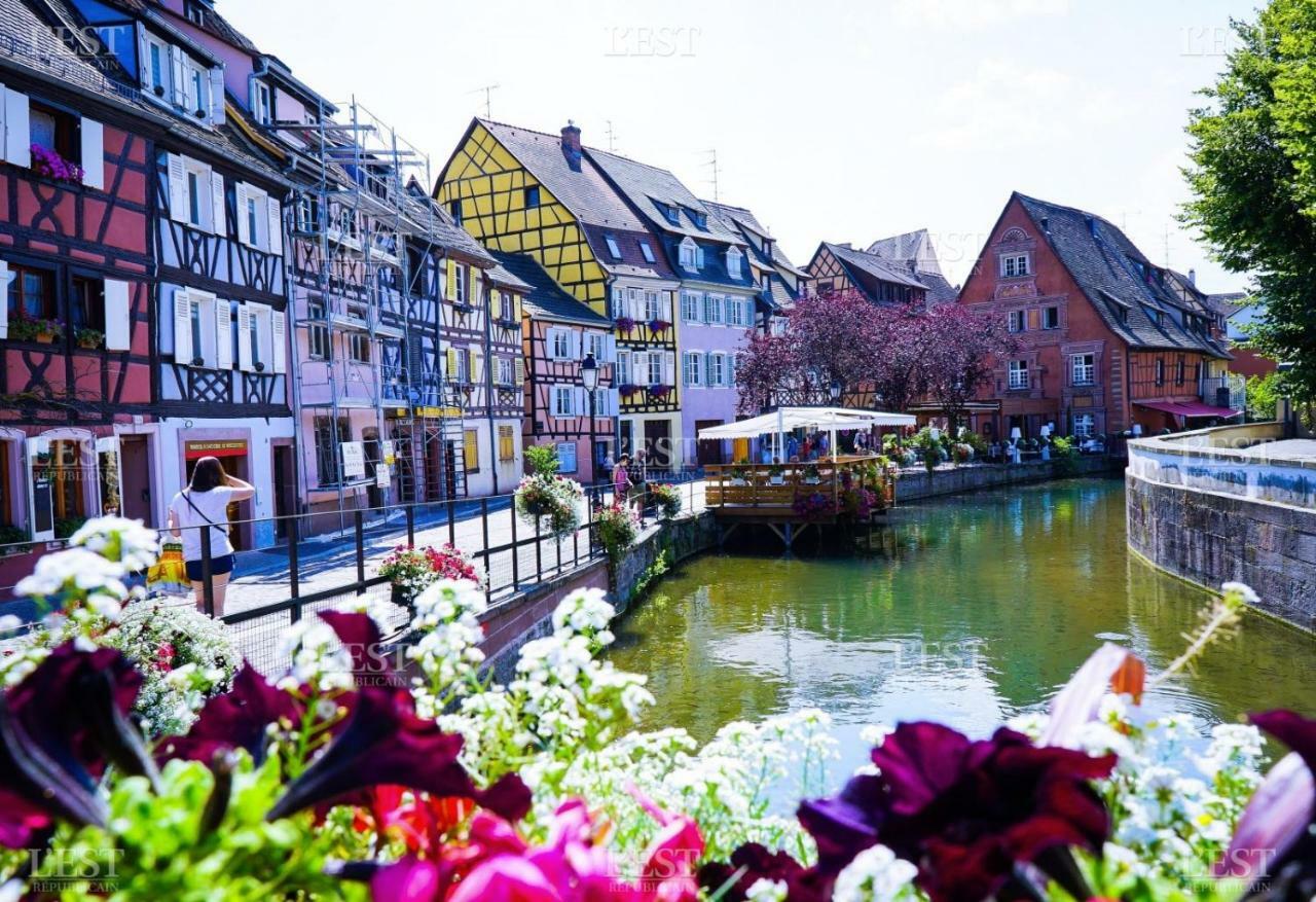 Residences Du Theatre Appartamento Colmar